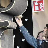   at Java Whiskers Cat Café in Stockholm