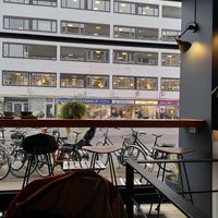  at Social Brew in Copenhagen