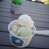 Vegan ice cream at De Ijsbaron Wilsele in Leuven