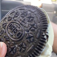   at Sparta's Shack in Lafayette