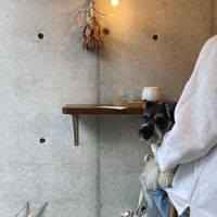 Cutest dog ever   at Woodberry Coffee - Meguro in Tokyo