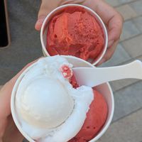  at Le Glacier de la Maison Carrée in Nimes