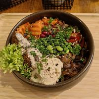 Buddha bowl with falafel at Bodja in Brussels