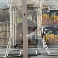 Frozens  at Estallido Vegano in Santiago