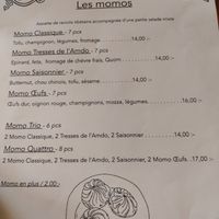Les momos at Tibetan Convention Tea House in Florennes