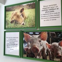 Paintings inside  at Vegan Folie's in Paris