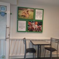 Interior at Vegan Folie's in Paris