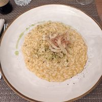 Pumpkin risotto at Manu Cucina E Vino in Genoa