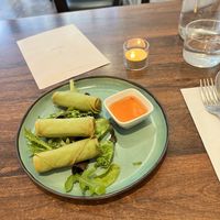   at Plants of Roselyn in South East London