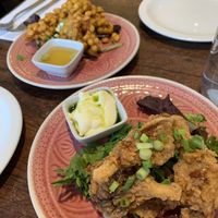Oyster mushrooms  at Plants of Roselyn in South East London
