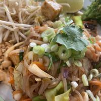   at Plants of Roselyn in South East London