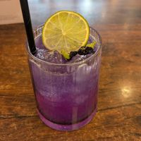  at Plants of Roselyn in South East London