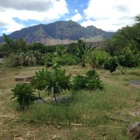 Waianae mountain view from back terrace. Best seat in the house. at Kahumana Organic Farm and Cafe in Waianae