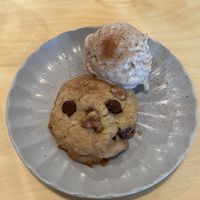   at Rooted 루티드 in Seoul