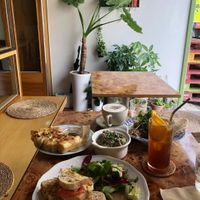  at Rooted 루티드 in Seoul