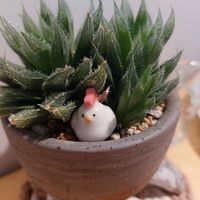  at Rooted 루티드 in Seoul