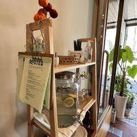   at Rooted 루티드 in Seoul