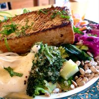  at Rooted 루티드 in Seoul