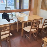 interior - seating at Rooted 루티드 in Seoul