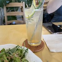   at Rooted 루티드 in Seoul