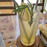 Rosemary lemonade at Rooted 루티드 in Seoul