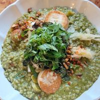 Seasonal Risotto with basil pesto and, mushrooms, sauerkraut and v meatballs. Literally the perfect comfy fall dish. at Rooted 루티드 in Seoul