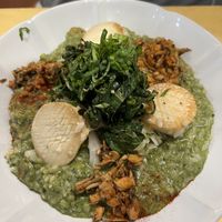 Pesto risotto with vegan shroom-scallop   at Rooted 루티드 in Seoul