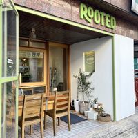   at Rooted 루티드 in Seoul