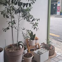  at Rooted 루티드 in Seoul