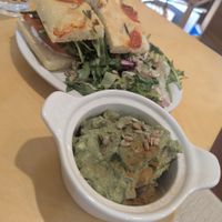  at Rooted 루티드 in Seoul