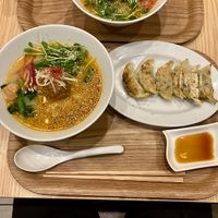 Golden sesame ramen & gyoza   at T's Tantan - Tokyo JR Station in Tokyo
