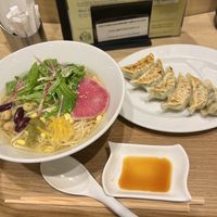 Ramen and gyoza  at T's Tantan - Tokyo JR Station in Tokyo