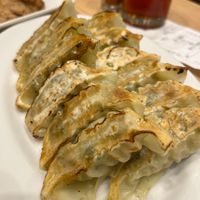 Gyoza   at T's Tantan - Tokyo JR Station in Tokyo