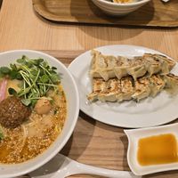 Ramen and gyoza at T's Tantan - Tokyo JR Station in Tokyo