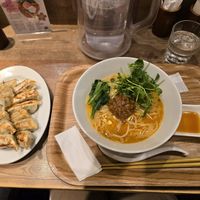 Tantan ramen and gyoza at T's Tantan - Tokyo JR Station in Tokyo