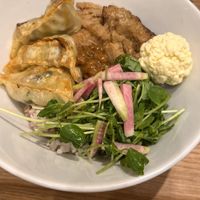 Rice bowl with chickn and gyoza   at T's Tantan - Tokyo JR Station in Tokyo