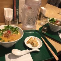 Left - White sesame ramen & dumplings, Right - Black sesame ramen  at T's Tantan - Tokyo JR Station in Tokyo
