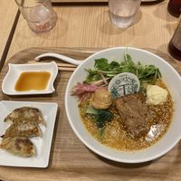 Special ramen and gyoza  at T's Tantan - Tokyo JR Station in Tokyo
