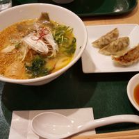 golden sesame ramen and gyoza at T's Tantan - Tokyo JR Station in Tokyo
