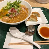 Gold sesame tantan with gyozas  at T's Tantan - Tokyo JR Station in Tokyo