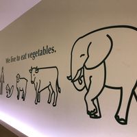 We live to eat vegetables at T's Tantan - Tokyo JR Station in Tokyo