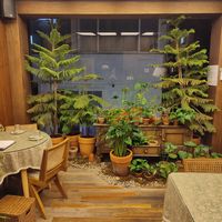  at Lazy Farmers in Seoul