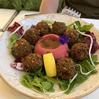 Falafel and hummus   at Lazy Farmers in Seoul