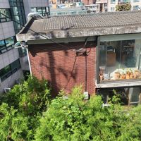  at Lazy Farmers in Seoul