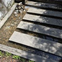  at Lazy Farmers in Seoul