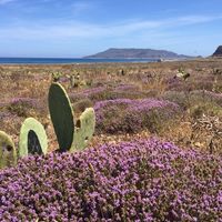 Amazing nature at Cibo Chiacchiere Vino in Favignana