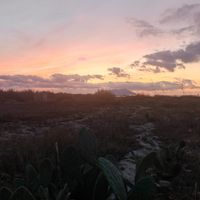  at Cibo Chiacchiere Vino in Favignana