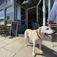   at Ground Coffee House in Burnham-on-crouch