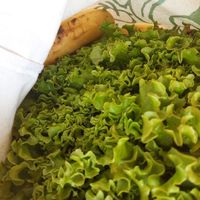 Lechuga y plátanos at Finca Ecologico Lomo del Riego in La Gomera