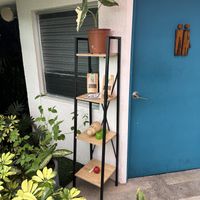 Dog 🐶 corner with toys and poop bags  at Atípico in San Jose